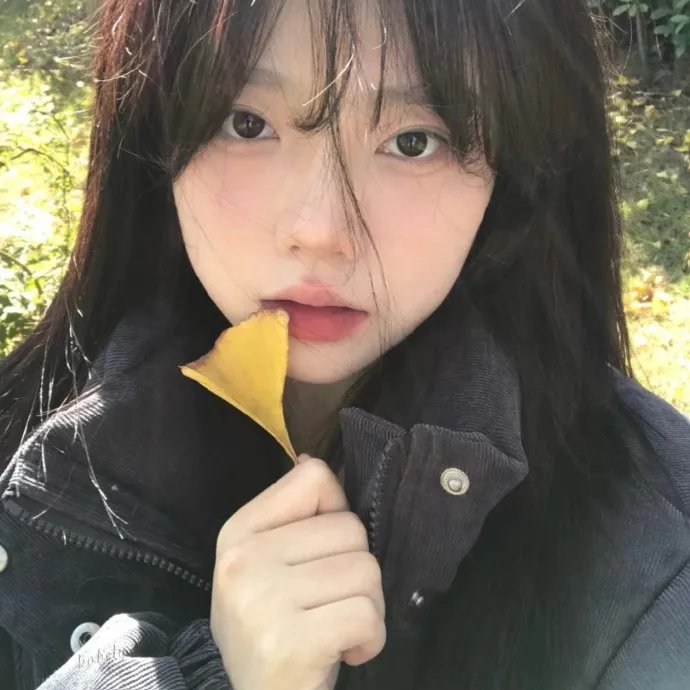 风筝与男孩